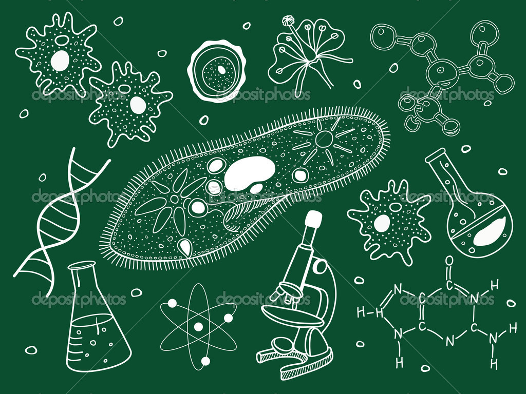 Nature：科学家找到杀死抗药细菌的新靶点