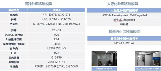 s36沙龙会药效学动物模型