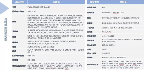 s36沙龙会药效学动物模型