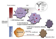浅析：ADC药物的抗癌之路