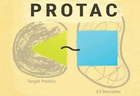 热点前沿:PROTAC初露锋芒，SD-36对抗肿瘤效果卓越