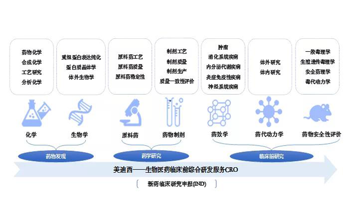 s36沙龙会业务范围