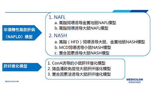 代谢性疾病模型