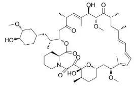 雷帕霉素新制剂用于罕见病，获4500万美元融资