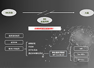 人工合成NT类脂质开放血脑屏障，为CNS药物打开新局面