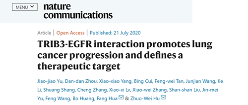 Nature|非小细胞肺癌治疗新方案：靶向降解EGFR