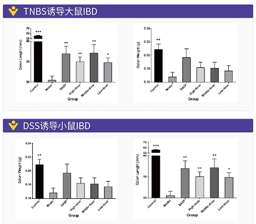 TNBS诱导的大鼠IBD、DSS诱导的大鼠IBD