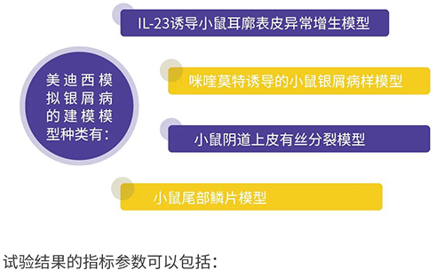 s36沙龙会模拟银屑病的建模模型种类