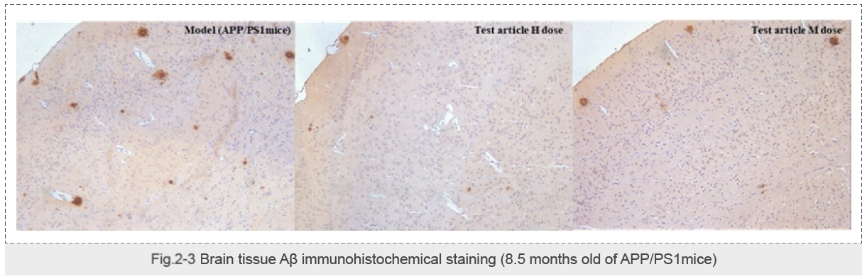 供试品对APP PS1小鼠抗阿尔茨海默病的影响（Morris水迷宫试验）-5.webp