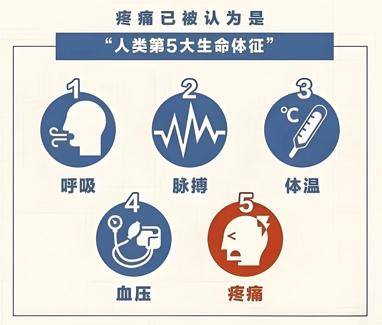 疼痛已被认为是人类第5大生命体征.webp