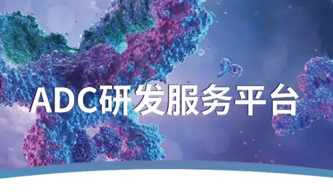 一文读懂：抗体偶联药物（ADC）