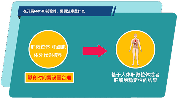 肝微粒体、肝细胞体外代谢模型中，孵育时间需设置合理.jpg