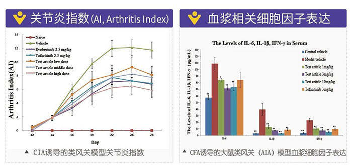 s36沙龙会诱导的类风湿性关节炎模型-2.png