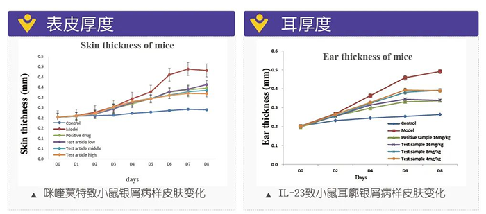 s36沙龙会模拟银屑病的建模模型-试验结果的指标.png