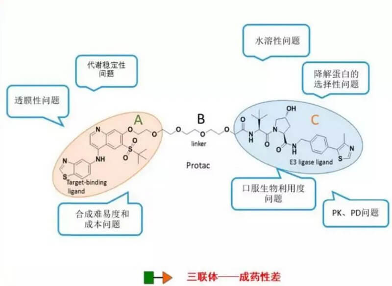 PROTAC分子量较大，溶解性较差.jpg