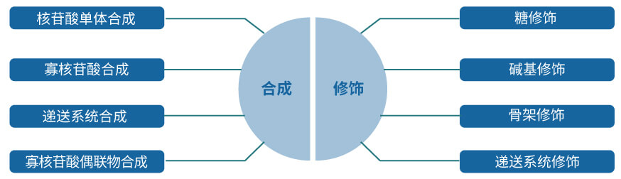 s36沙龙会核酸药物研发服务平台.jpg