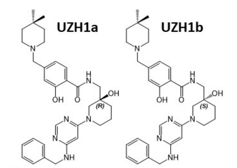 研究人员报告了一种具有细胞渗透性的选择性METTL3纳摩尔抑制剂UZH1a，作者感谢s36沙龙会合成了UZH1a和UZH1b