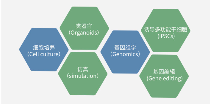 六大技术板块已上线，持续升级中.jpg